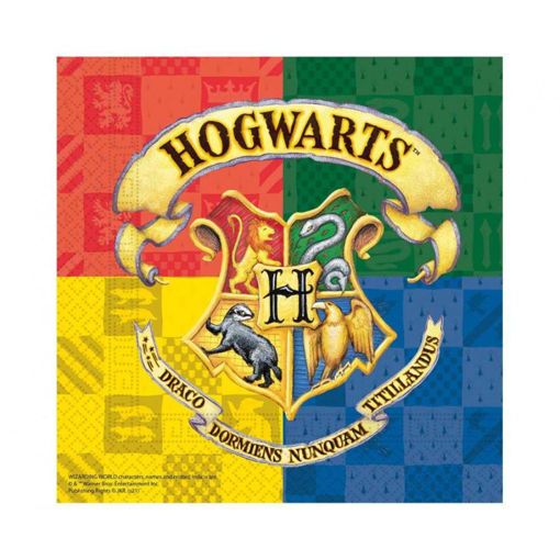 Picture of HARRY POTTER NAPKINS 33 X 33 CM - 20 PACK